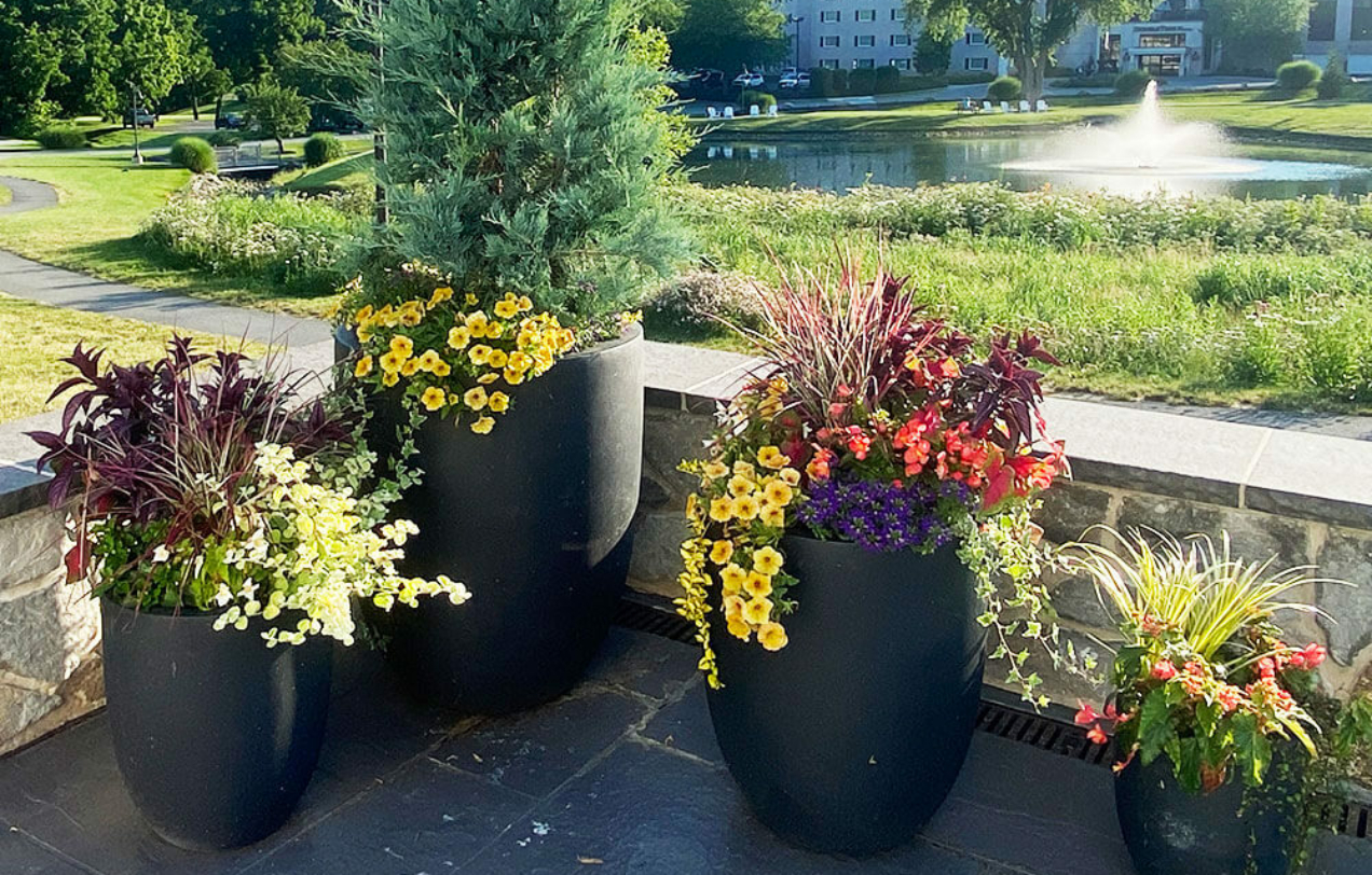 varying sizes of planters from 18 inches to 6 feet tall, filled with flowers, foliage, and small trees